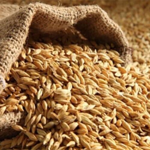 Солод Château Aroma – Шато Арома 1кг – Castl Malting Бельгія – солод ячмінний спеціальний
